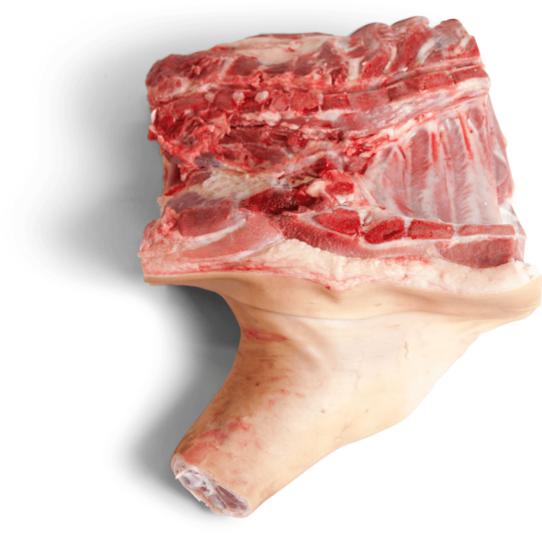 Frozen Pork Fore End