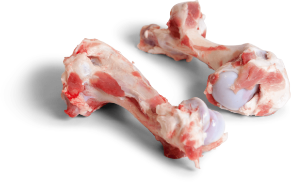 Frozen Pork Humerus Bone