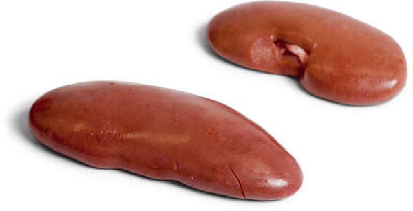 Frozen Pork Kidney