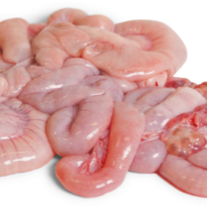 Frozen Pork Small Intestines