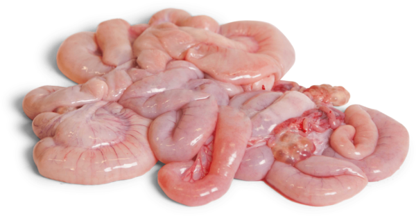 Frozen Pork Small Intestines