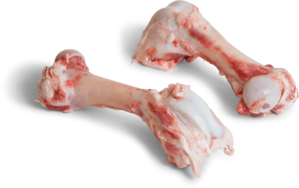 Frozen Pork Femur Bone